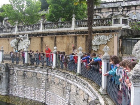 Preme para ver a foto ampliada