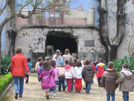 Preme para ver a foto ampliada