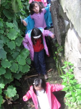 Preme para ver a foto ampliada