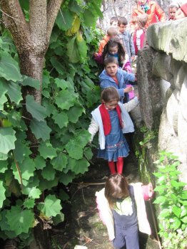 Preme para ver a foto ampliada