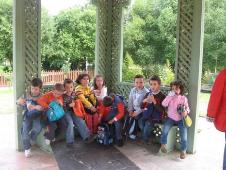 Preme para ver a foto ampliada