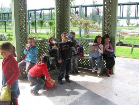 Preme para ver a foto ampliada