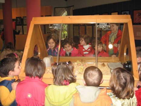 Preme para ver a foto ampliada