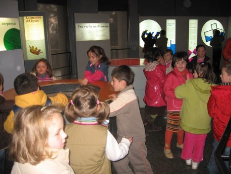 Preme para ver a foto ampliada