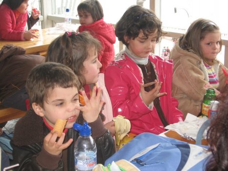 Preme para ver a foto ampliada