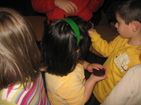 Preme para ver a foto ampliada