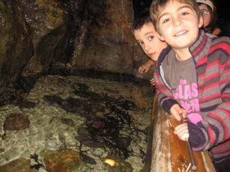 Preme para ver a foto ampliada