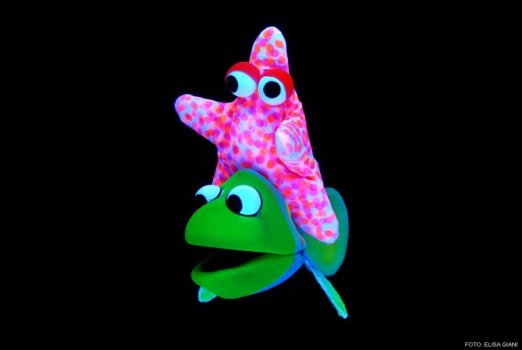 Preme para ver a foto ampliada