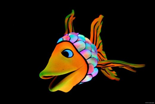 Preme para ver a foto ampliada