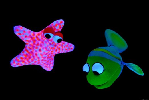 Preme para ver a foto ampliada