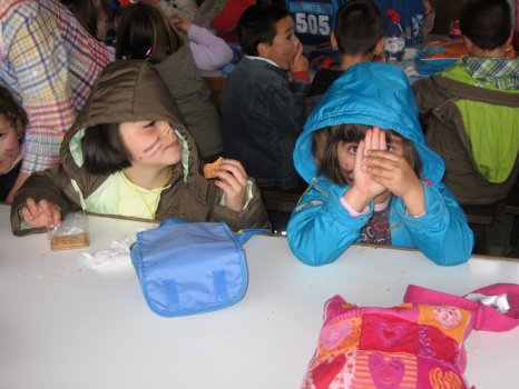 Preme para ver a foto ampliada