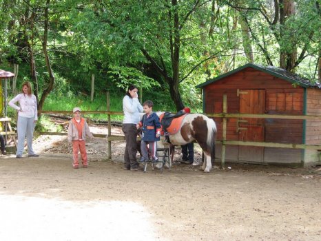 Preme para ver a foto ampliada