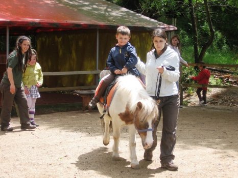 Preme para ver a foto ampliada