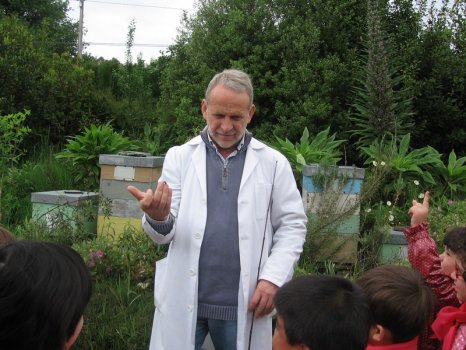 Preme para ver a foto ampliada