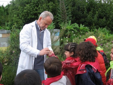 Preme para ver a foto ampliada