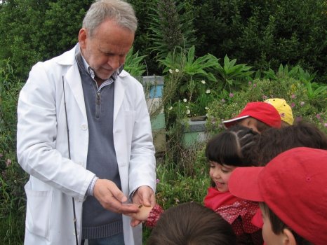 Preme para ver a foto ampliada