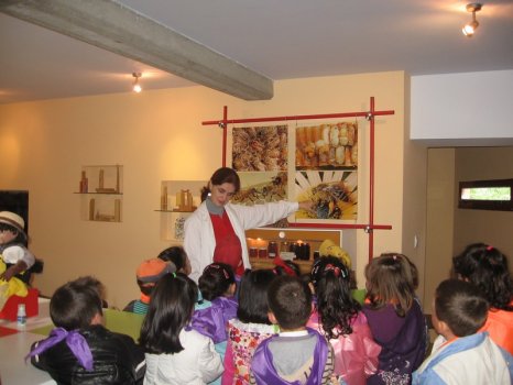 Preme para ver a foto ampliada