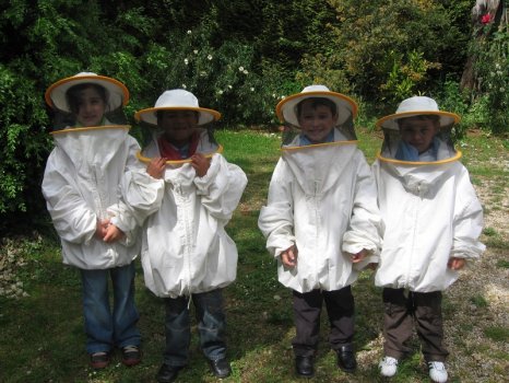 Preme para ver a foto ampliada