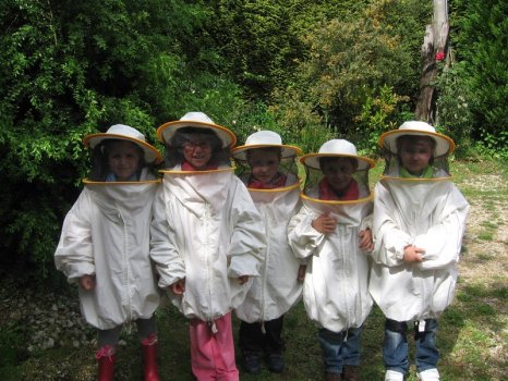 Preme para ver a foto ampliada