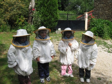 Preme para ver a foto ampliada