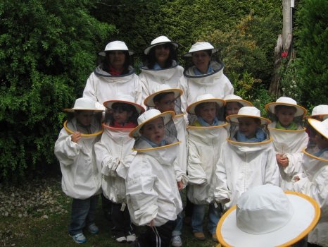 Preme para ver a foto ampliada