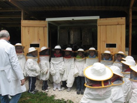 Preme para ver a foto ampliada