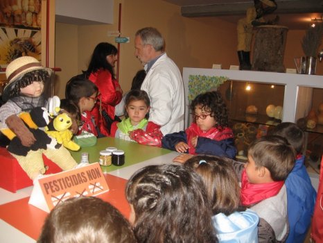 Preme para ver a foto ampliada