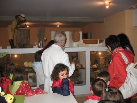 Preme para ver a foto ampliada