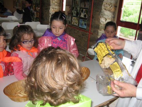 Preme para ver a foto ampliada