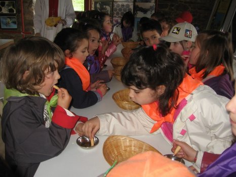 Preme para ver a foto ampliada