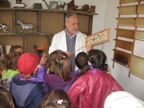 Preme para ver a foto ampliada