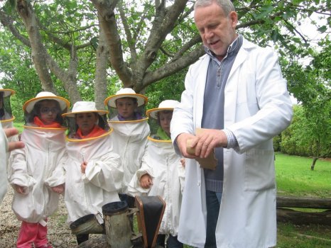 Preme para ver a foto ampliada