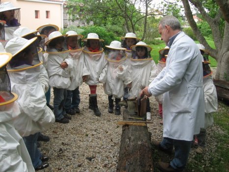 Preme para ver a foto ampliada