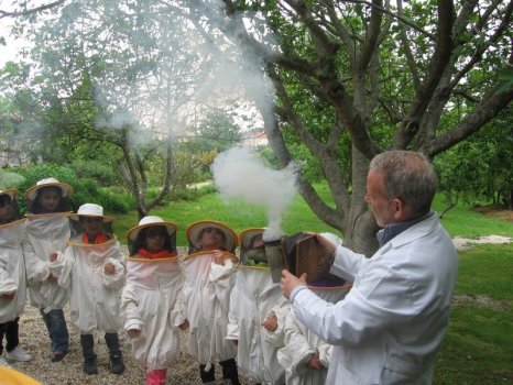 Preme para ver a foto ampliada