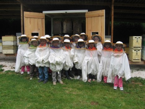 Preme para ver a foto ampliada