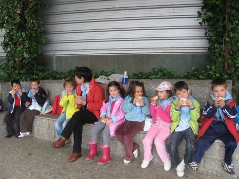 Preme para ver a foto ampliada