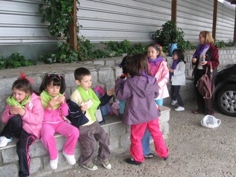 Preme para ver a foto ampliada