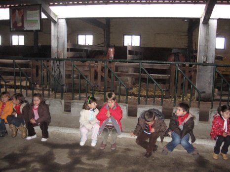 Preme para ver a foto ampliada