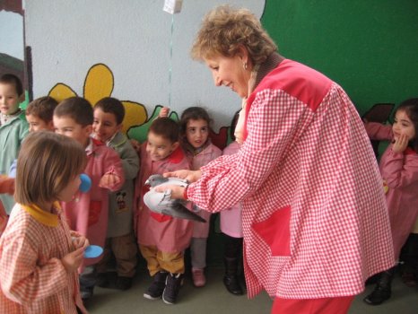 Preme para ver a foto ampliada