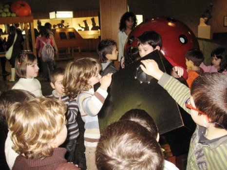 Preme para ver a foto ampliada