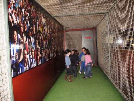 Preme para ver a foto ampliada