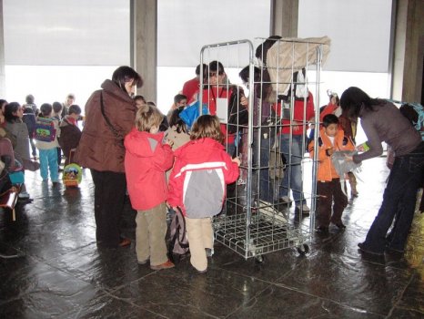 Preme para ver a foto ampliada