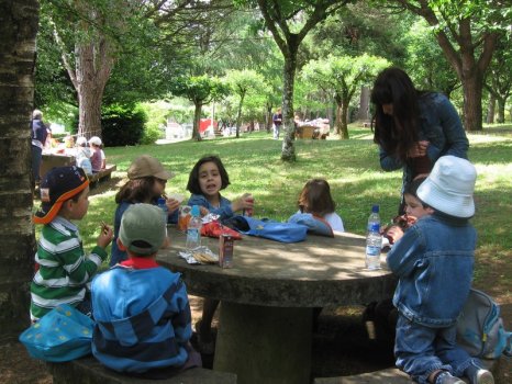 Preme para ver a foto ampliada