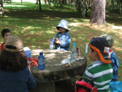 Preme para ver a foto ampliada