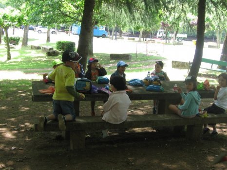 Preme para ver a foto ampliada