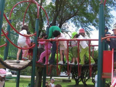 Preme para ver a foto ampliada