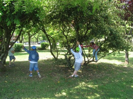 Preme para ver a foto ampliada