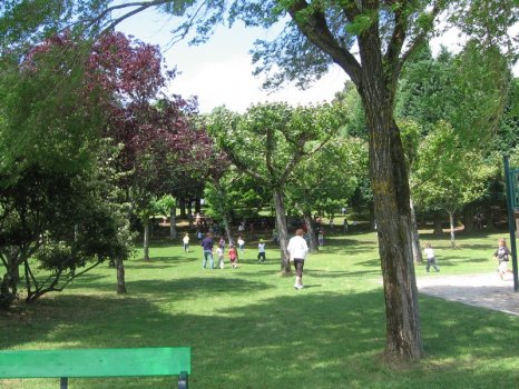 Preme para ver a foto ampliada