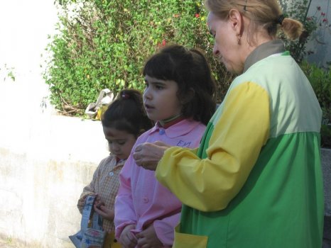 Preme para ver a foto ampliada