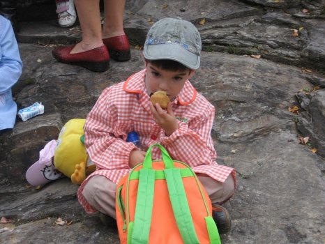 Preme para ver a foto ampliada